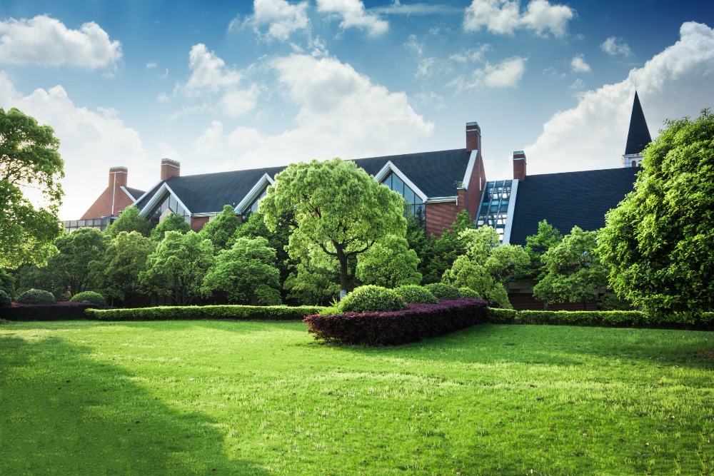 beautiful modern house cement view from garden